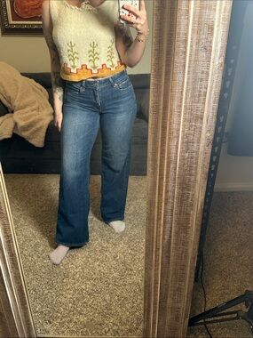 American Eagle Low Rise Baggy Jean